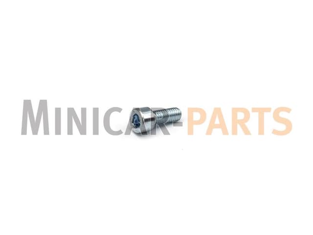 Mounting bolt brake disc rear (M6x16)