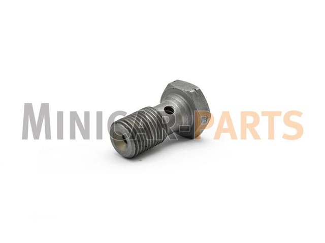 Banjo bolt brake hose (M10x100)