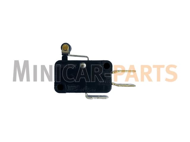 Microswitch Casalini